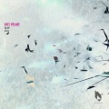Aves Volare - Fly