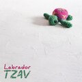 Tzav