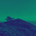 Ashley Smith、Tasty Trax、Shortcut Chainz、Rough Nation - Discover Wave