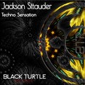 Jackson Sttauder - No Like Carnaval