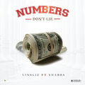 Shabba、Vinsliz - Numbers Don't Lie (feat. Shabba)