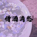 美雪、圈妹 - 可惜没如果