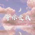 城里的月光 (运动版)