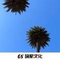 北筱、苏泽 - 刚好遇见你