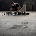 小白色 - 我哪里不够好