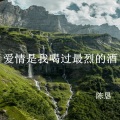 陈恳 - 爱情是我喝过最烈的酒