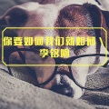 李铭响 - 不是情人不必情深