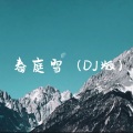 周凌夕、DJ煞神 - 春庭雪 (DJ弹鼓版)