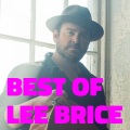 Lee Brice - I Hope You're Happy Now