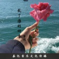 梦欣 - 乱了谁的四季