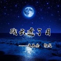 颜笑、苏辰念 - 残云遮了月