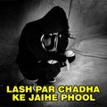RK Raja、Naresh Kumar Singh、Dharmendra Dhadkan - Tora Yaad Me Khelai Chhi Ludo