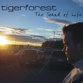 Tigerforest - Colors of the Summer Sky