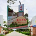 王世学 - 美丽的乡村