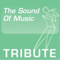 ProSound Tribute Band - Do Re Mi