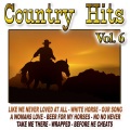 The Cowboy Band - White Horse