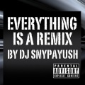 DJ SNYPAYUSH - What's My Name (Remix)