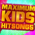 Hits Now! Top 40 Ensemble - The Lazy Song