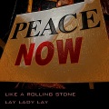 Lay Lady Lay - Blowing In The Wind