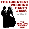 The True Love Wedding Band - White Wedding