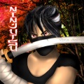 Ninja Kodou - Double Agent
