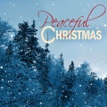 New Age Holiday Ensemble - Auld Lang Syne