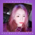 Way Back Home中文版