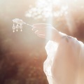 崔小茶tea、清疏、A潇 - 旧侣-天涯客·温周