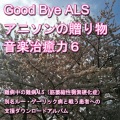 Nanbyou Shien Project - Daybreak's Bell
