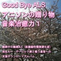 Nanbyou Shien Project - Period