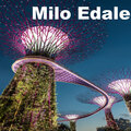 Milo Edale - Winter Stillness