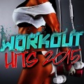 Workout Buddy、Dance Hits 2014、Ultimate Dance Hits - Bo$$