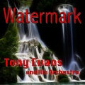 Tony Evans and His Orchestra - Begin the Beguine