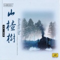 刘海英、王军 - 小路