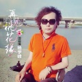 杨学峰 - 再见桃花缘