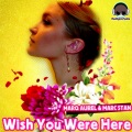 Wish You Were Here (Radio Version)