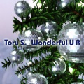Torus、Toru S. - Wonderful U R