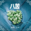 东辰 - 八苦
