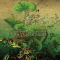 Hope Sandoval、The Warm Inventions - Lose Me On The Way