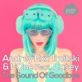 Andrey Exx、I-One、Troitski、Casey - The Sound of Goodbye (Funkfresh Remix)