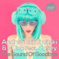 Andrey Exx、Troitski、I-One、Casey - The Sound of Goodbye