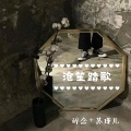 碎念、苏瑾儿 - 沧笙踏歌