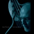 Larry Carlton - Friday Night Shuffle