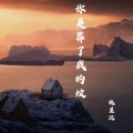 晓星沉 - 你是葬了我的坟