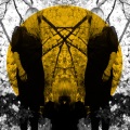 Austra - Beat and the Pulse