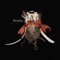 bowerbirds - In the Yard