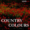 The Mick Lloyd Connection - Country Colors