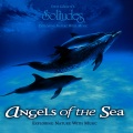 Dan Gibson - The Light of Baja