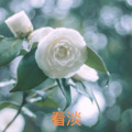 Along、苏可可 - 来吧，展示