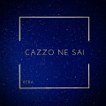 Cazzo Ne Sai (Explicit)